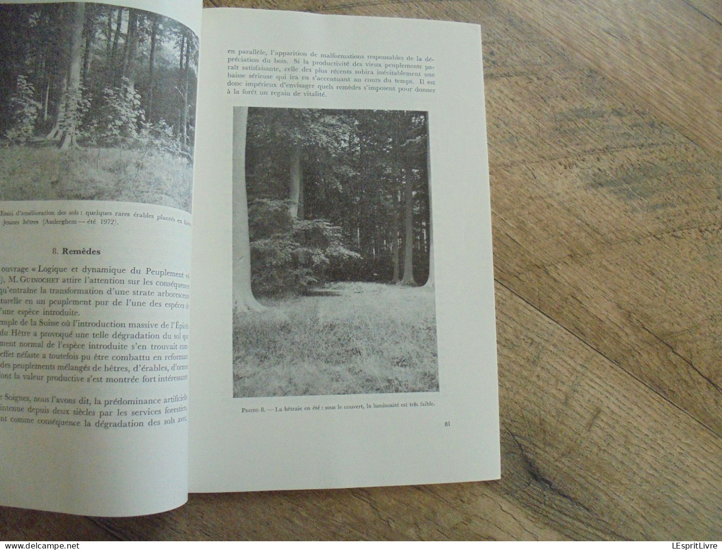 LES NATURALISTES BELGES N° 2 Année 1973 Régionalisme Soignes Hêtre Bois Hêtraie Forêt Guppy Truite Végétation Flore