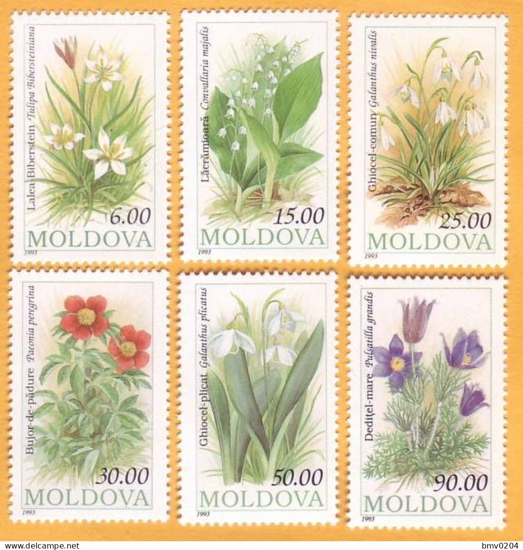 1993 Moldova Moldavie Moldau Flowers Flora  6v Mint - Moldavie