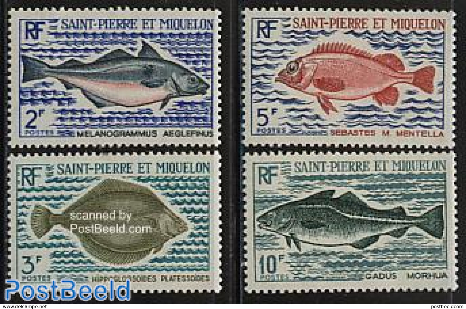 Saint Pierre And Miquelon 1972 Fish 4v, Mint NH, Nature - Fish - Fishes