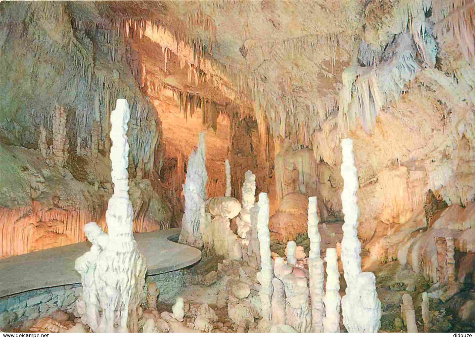 Liban - Grotte De Jiita - Jilta Grotto Upper Gallery - Petrified Forest - Spéléologie - Lebanon - CPM - Voir Scans Recto - Libanon