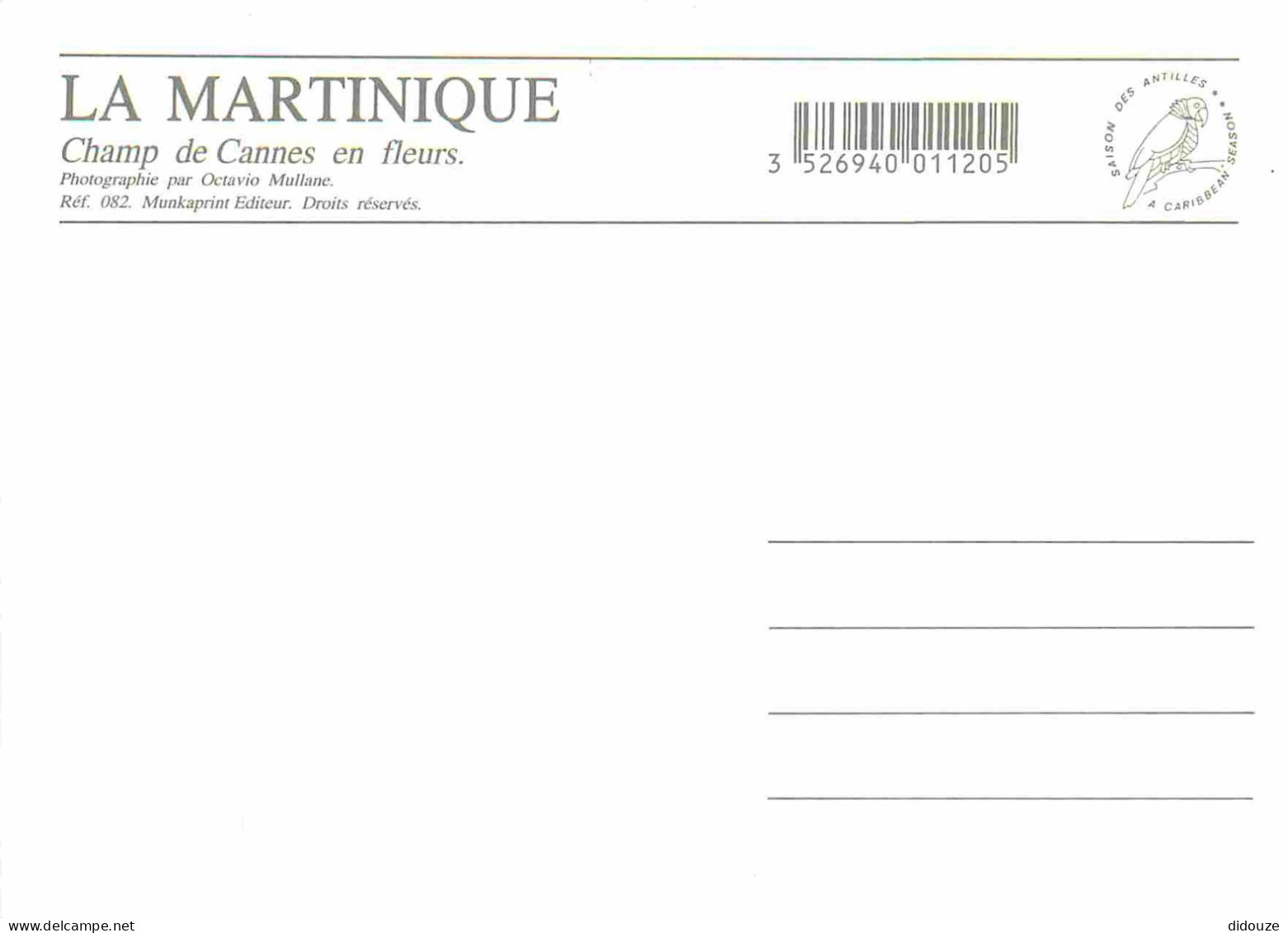 Martinique - Champ De Cannes En Fleurs - CPM - Carte Neuve - Voir Scans Recto-Verso - Andere & Zonder Classificatie