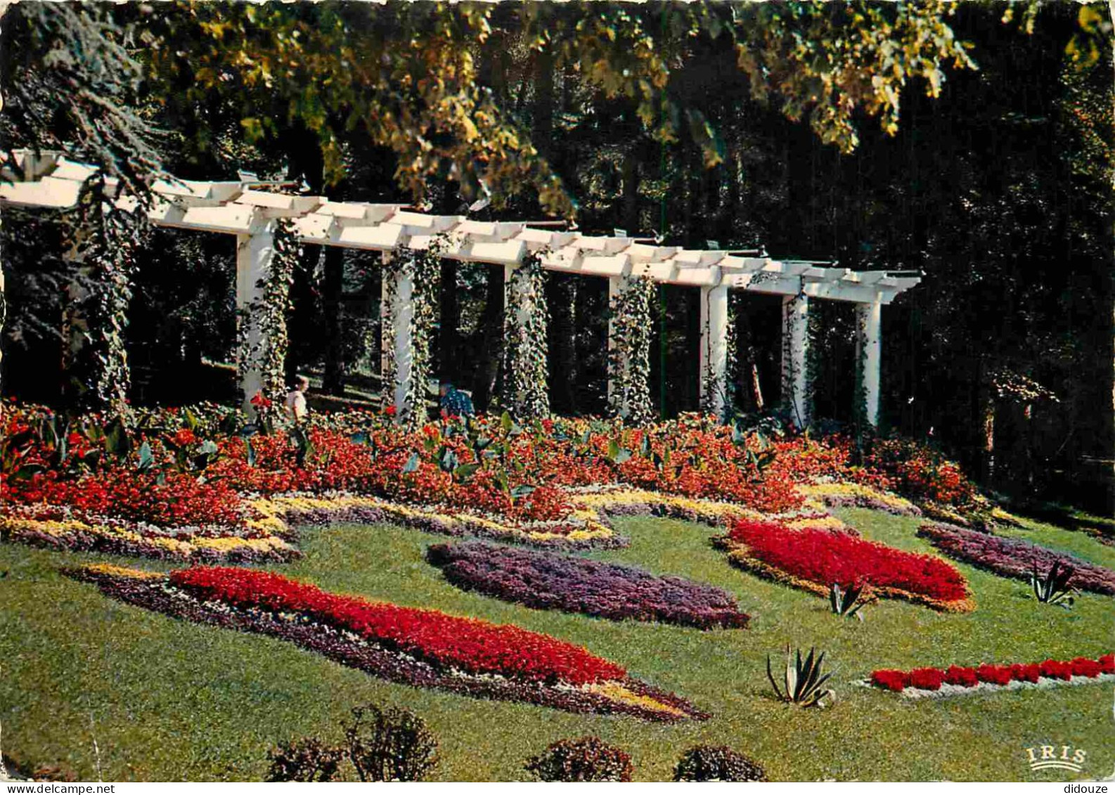 73 - Aix Les Bains - Le Parc - La Pergola Fleurie - Fleurs - Carte Dentelée - CPSM Grand Format - Voir Scans Recto-Verso - Aix Les Bains