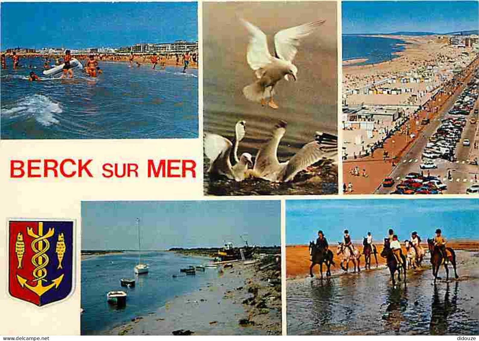 62 - Berck Sur Mer - Multivues - Plage - Baignade - Chevaux - Blasons - Carte Neuve - CPM - Voir Scans Recto-Verso - Berck