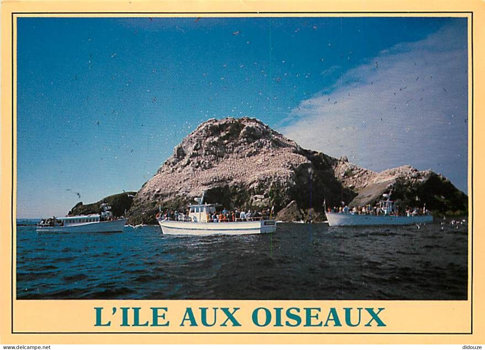 22 - L'Ile Rouzic - L'Ile Aux Oiseaux - Ile Rouzic - Bateaux - Carte Neuve - CPM - Voir Scans Recto-Verso - Other & Unclassified