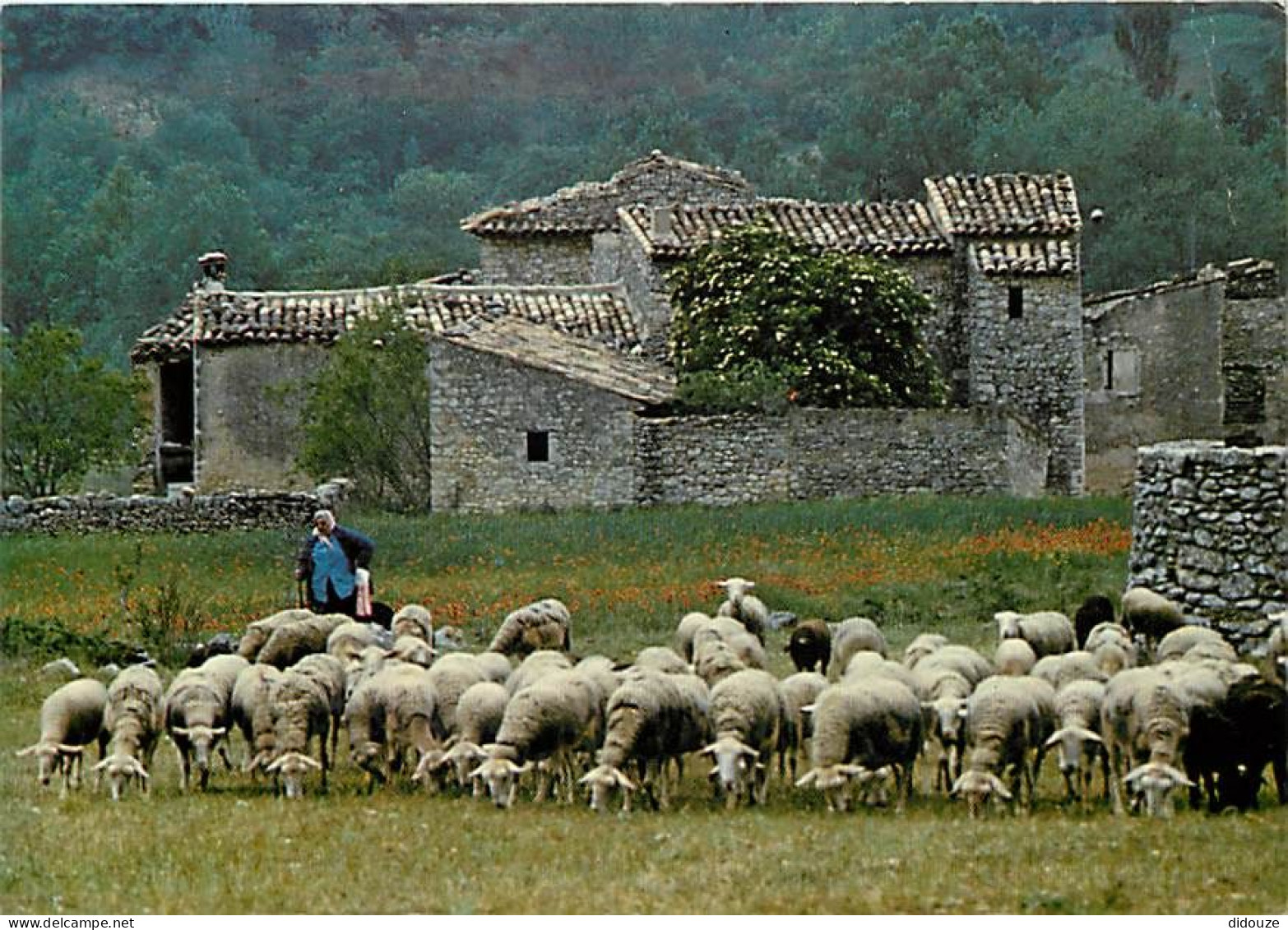 Animaux - Moutons - Le Départ De La Bergerie - Bergère Et Son Troupeau - CPM - Voir Scans Recto-Verso - Andere & Zonder Classificatie