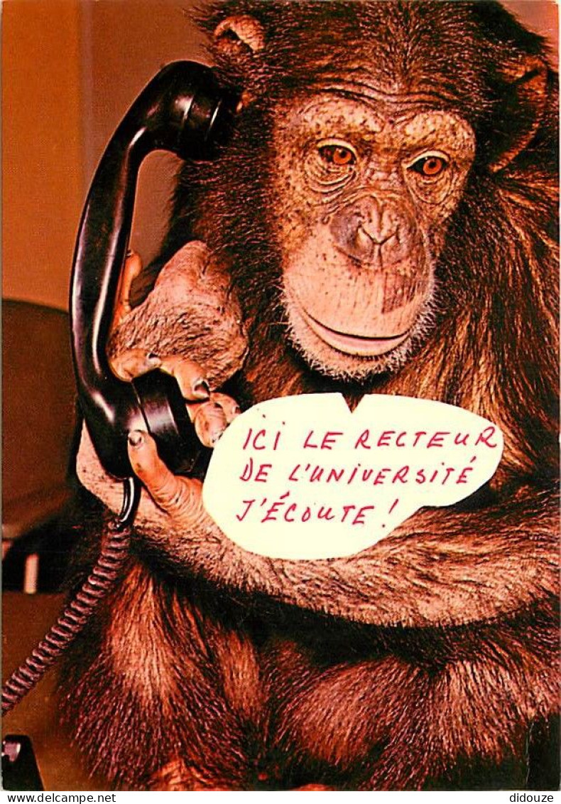 Animaux - Singes - Chimpanzé - Carte à Message - Carte Neuve - CPM - Voir Scans Recto-Verso - Monkeys