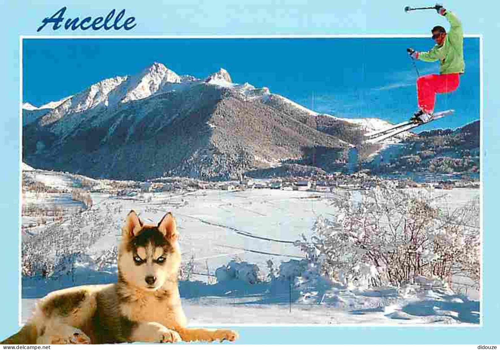 Animaux - Chiens - Husky - Chiots - Le Champsaur - Ancelle - Montagnes - Neige - Skieur - Carte Neuve - CPM - Voir Scans - Dogs