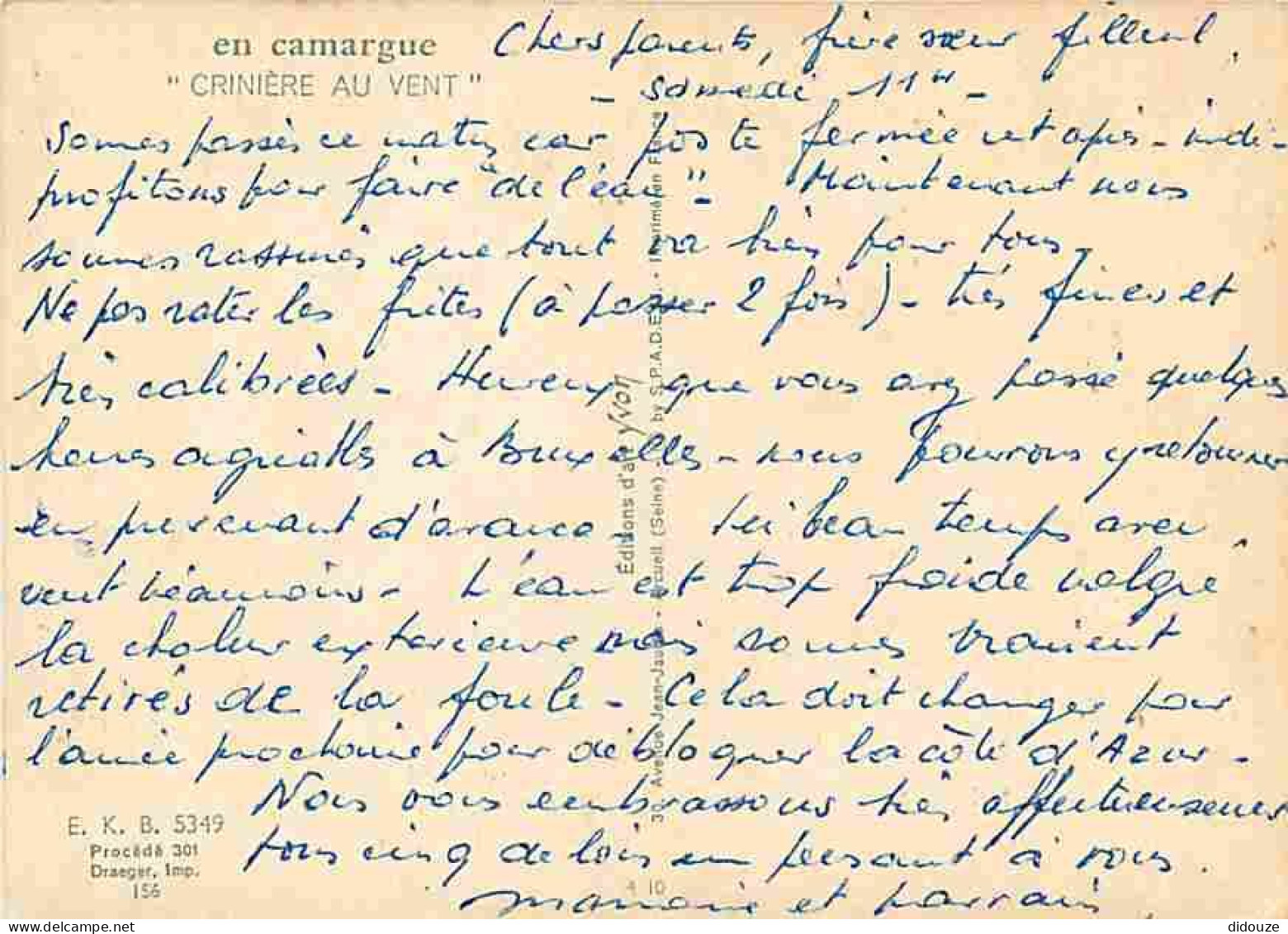Animaux - Chevaux - Camargue - Crinière Au Vent - Chevaux Camarguais - Voir Scans Recto Verso  - Horses