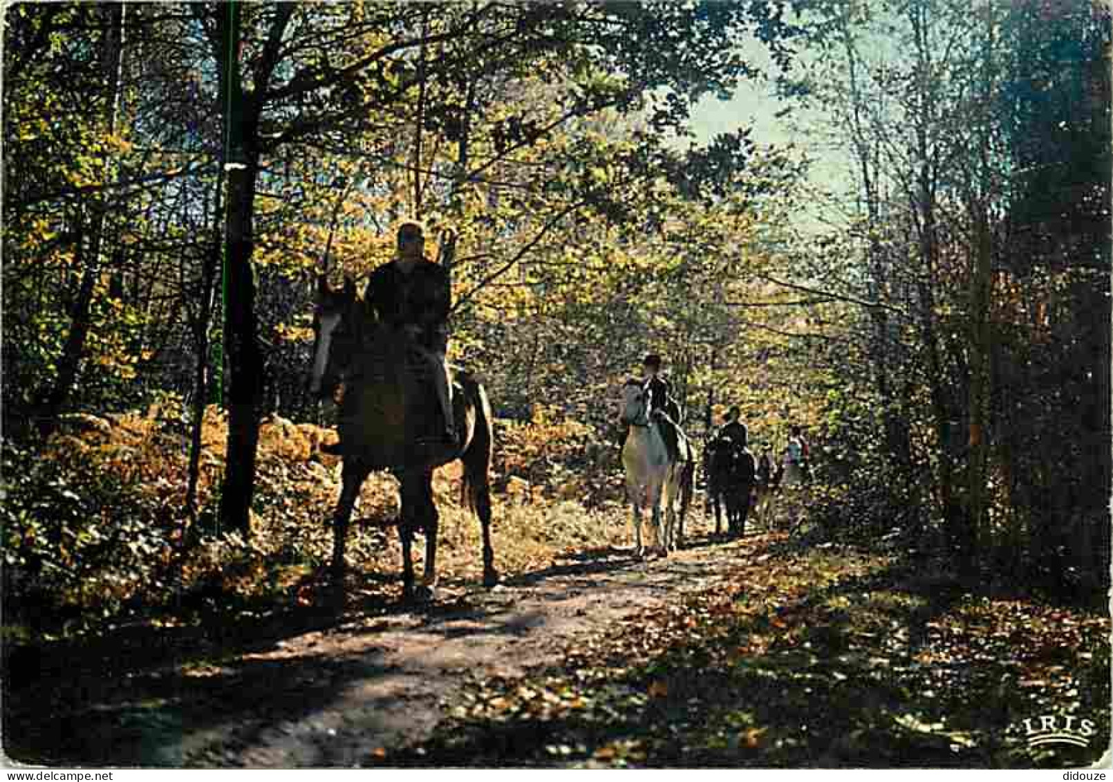 Animaux - Chevaux - Promenade équestre En Limousin - Flamme Postale - CPM - Voir Scans Recto-Verso - Horses