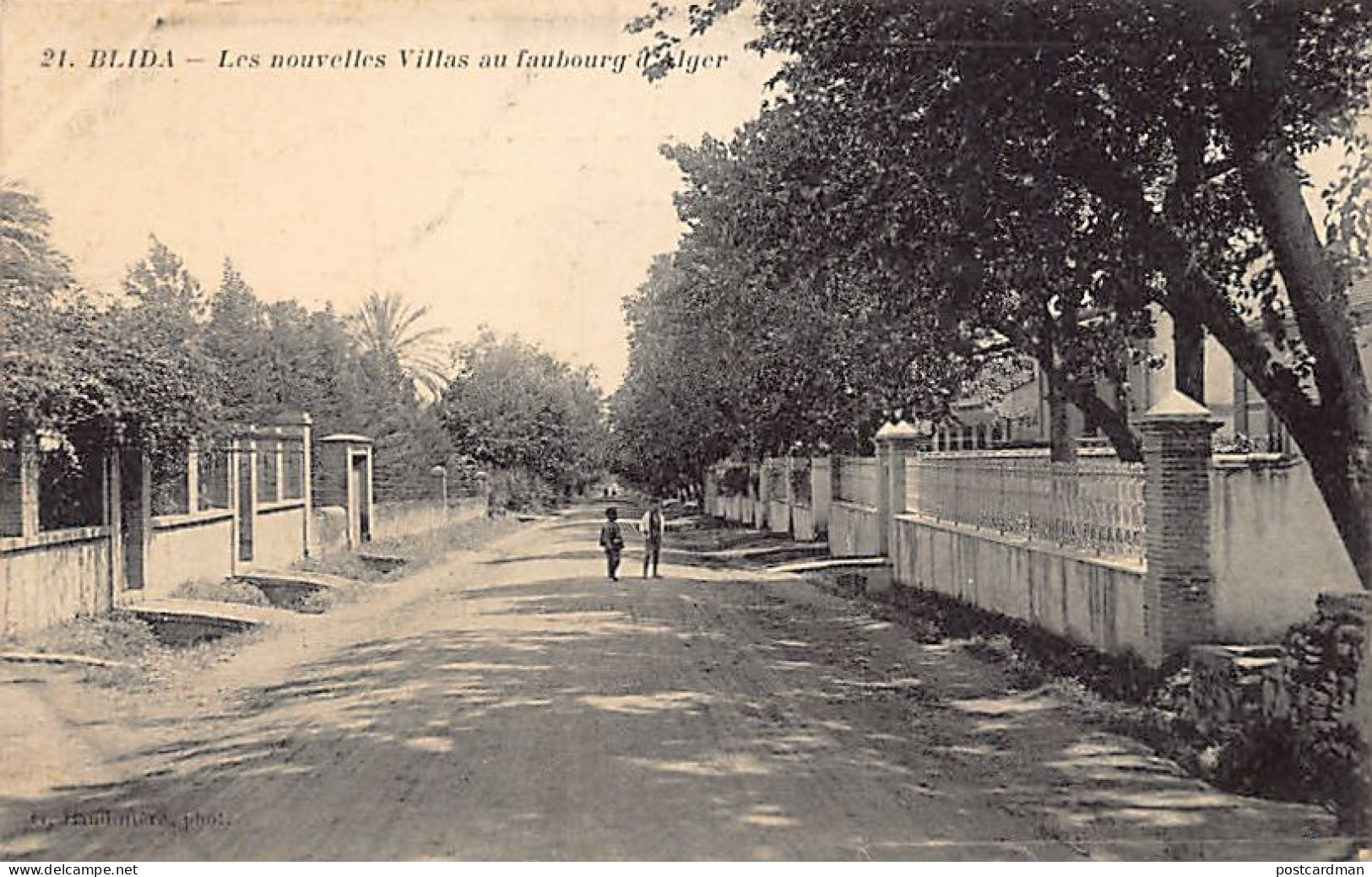BLIDA - Les Nouvelles Villas Au Faubourg D'Alger - Blida