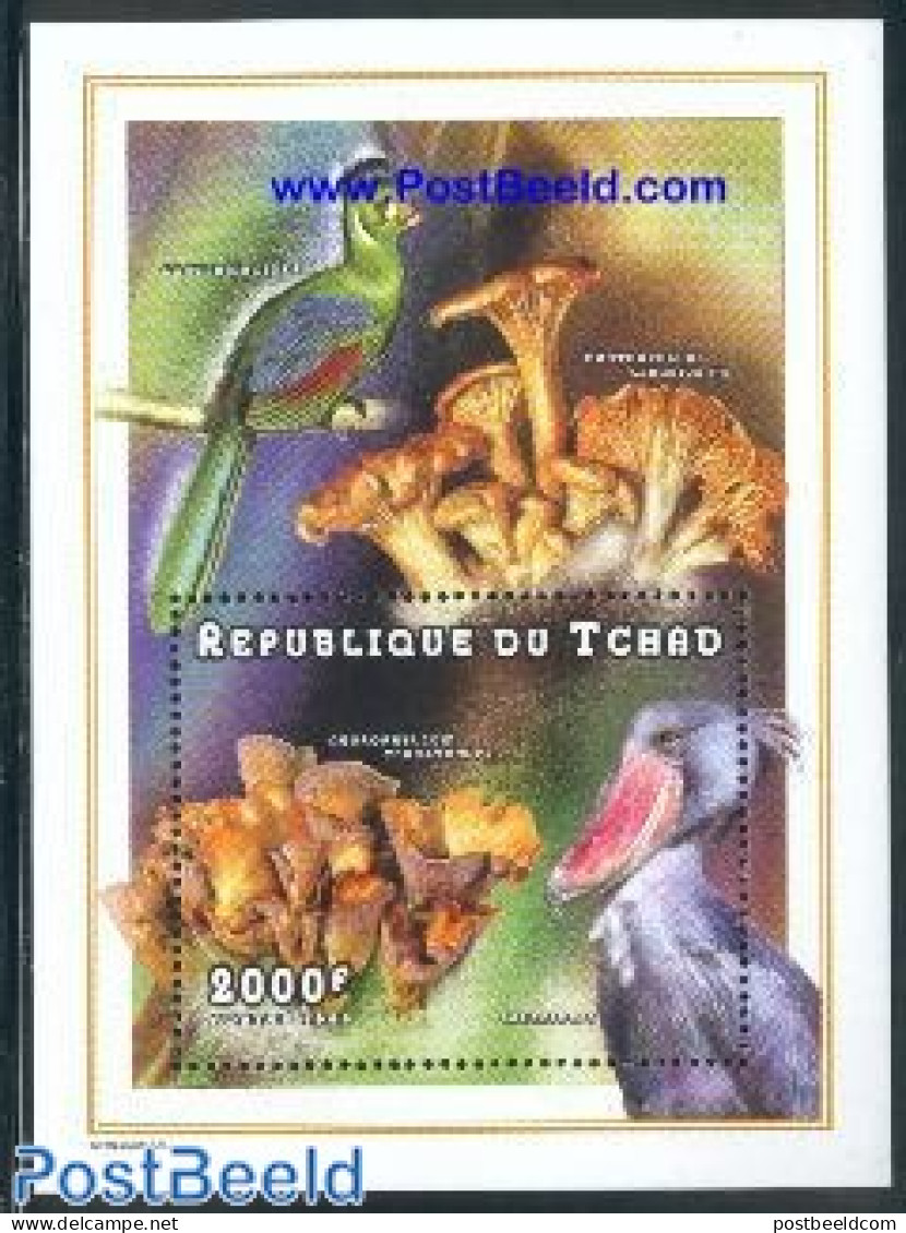 Chad 1998 Mushrooms & Birds S/s, Mint NH, Nature - Birds - Mushrooms - Otros & Sin Clasificación
