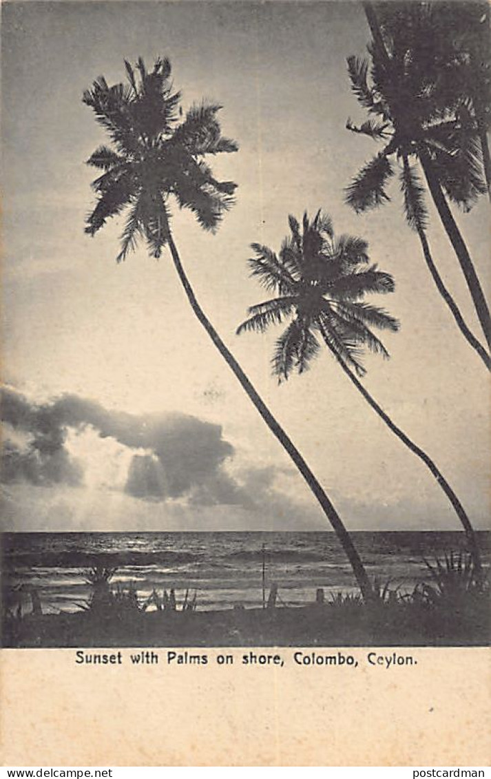 Sri Lanka - Sunset, With Palms On Sea Shore - Publ. Plâté Ltd. 26 - Sri Lanka (Ceylon)