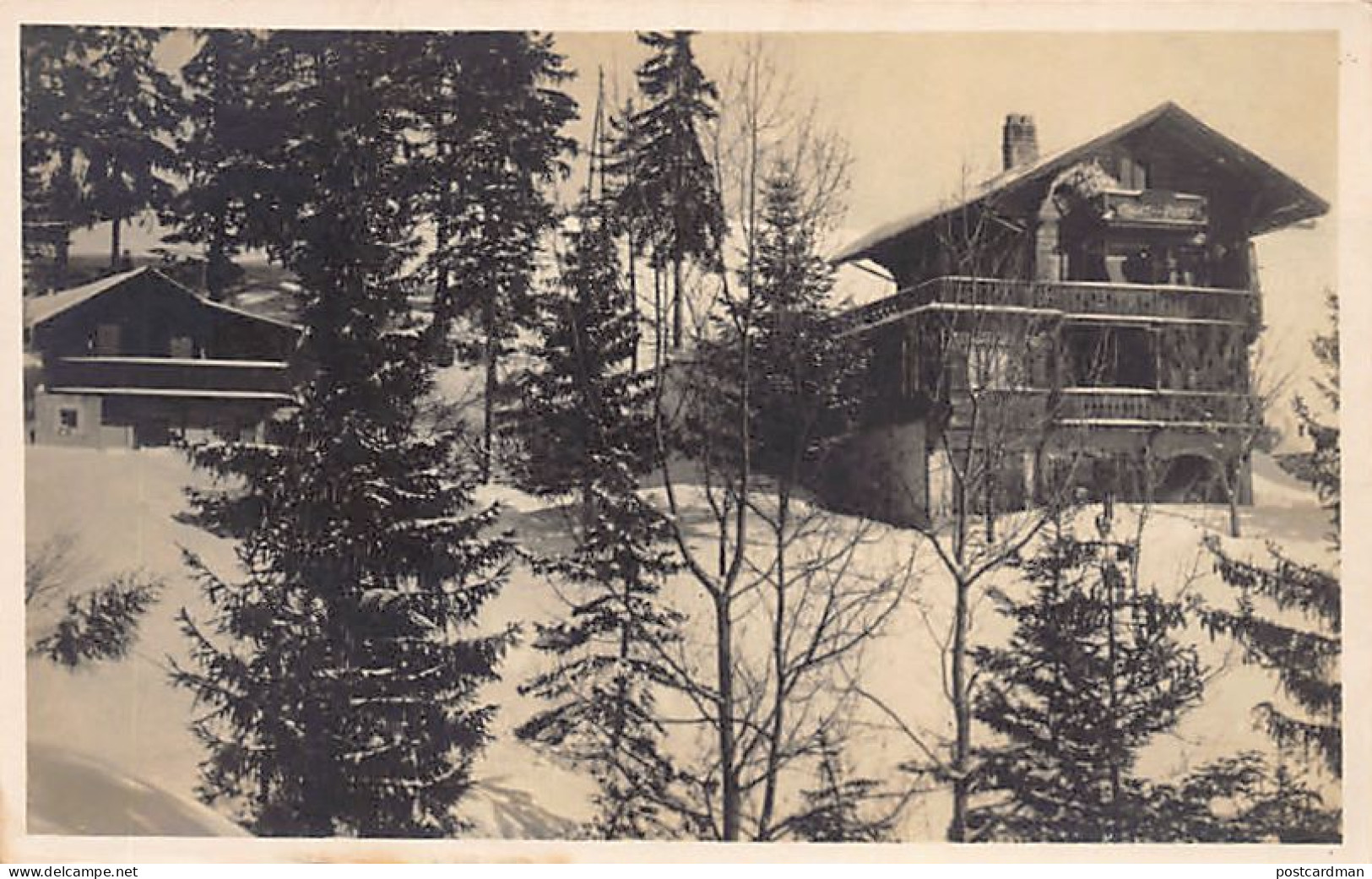 MONTANA (VS) Villa Coronelli, Chalet De La Forêt - CARTE PHOTO - Ed. Inconnu  - Autres & Non Classés