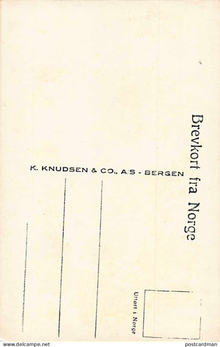 Norway - FLAAMSDALEN - Publ. K. Knudsen & Co. 483 - Norvège