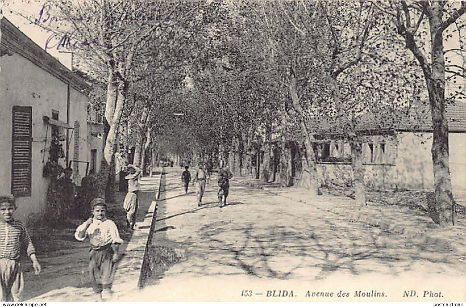 BLIDA - Avenue Des Moulins - Blida