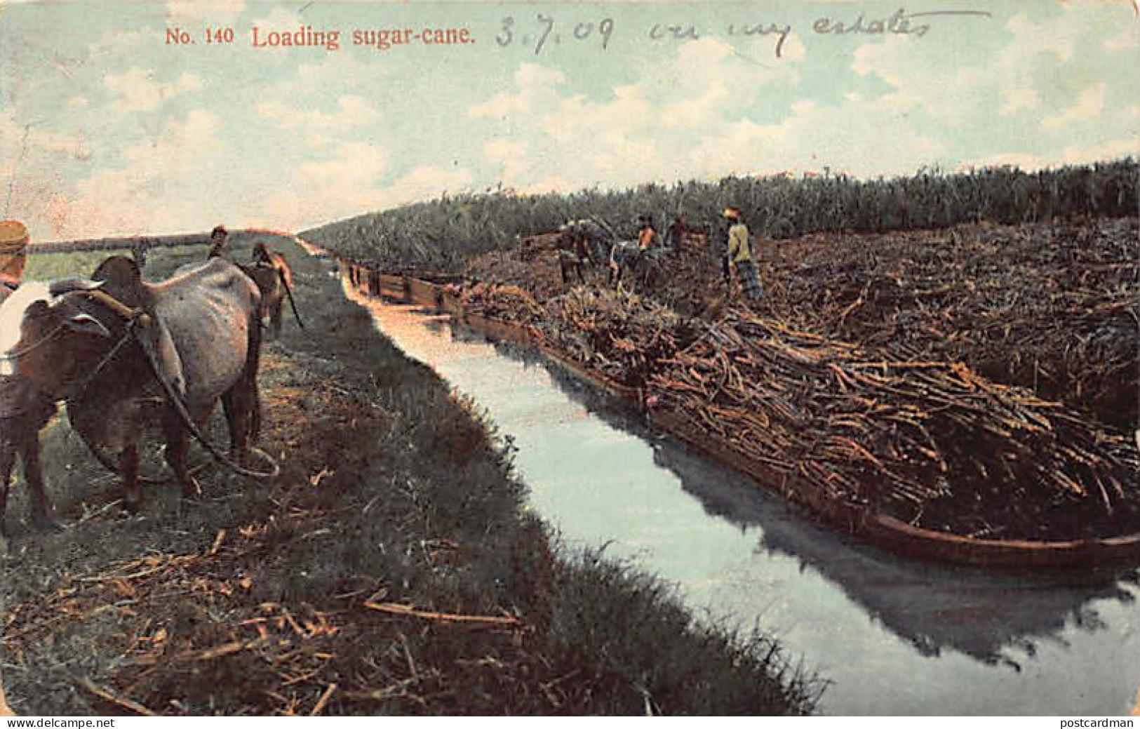 Malaysia - Loading Sugar Cane - Publ. A. Kaulfuss 140 - Malaysia