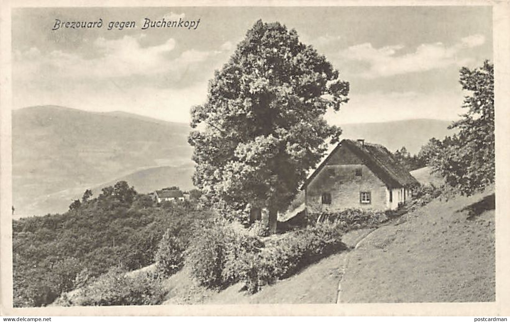 Brézouard Tête-des-Faux (Brezouard Gegen Buchenkopf) Ed. A.-G., COLMAR - Photo J. Ehretsmann - Lapoutroie