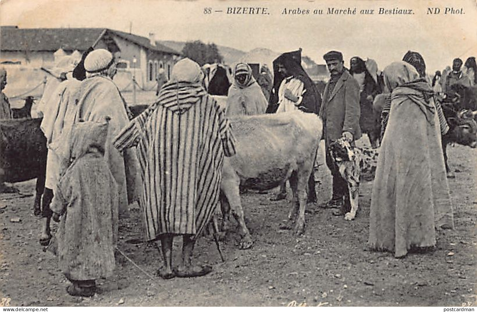 Tunisie - BIZERTE - Arabes Au Marché Aux Bestiaux - Ed. ND Phot. 88 - Tunisia