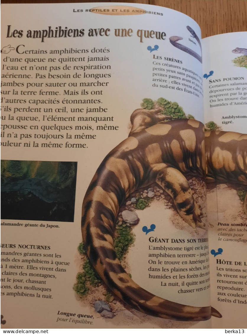 Les  Reptiles Et Les Amphibiens DISNEY 2007 - Other & Unclassified