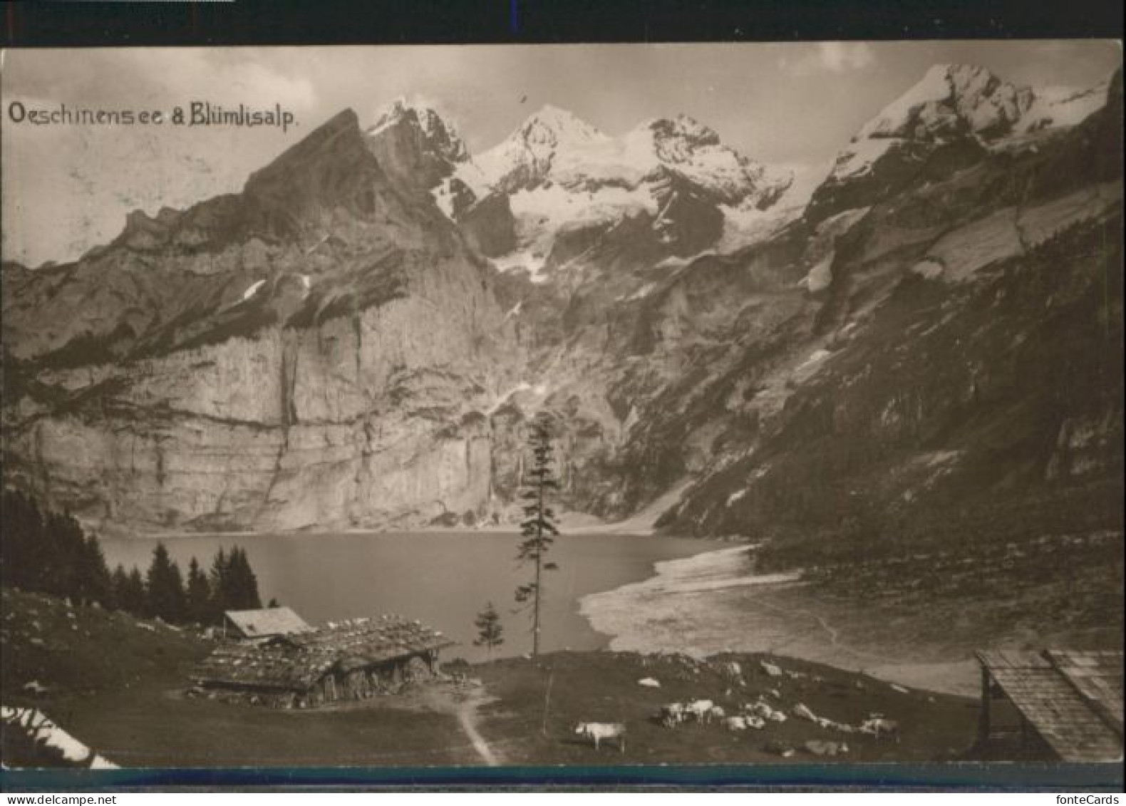 10845153 Oeschinensee Oeschinensee Bluemlisalp X Oeschinensee - Autres & Non Classés