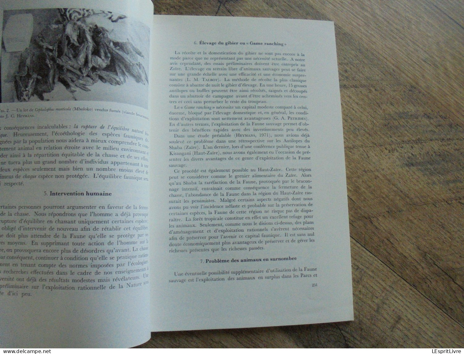 LES NATURALISTES BELGES N° 6 Année 1973 Régionalisme Faune Zaïre Afrique Spéléologie Grotte Petigny Eprave Maillen - Belgien