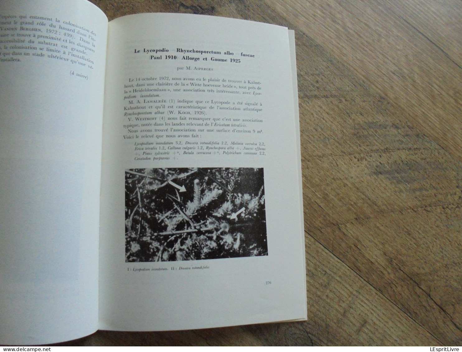 LES NATURALISTES BELGES N° 6 Année 1973 Régionalisme Faune Zaïre Afrique Spéléologie Grotte Petigny Eprave Maillen