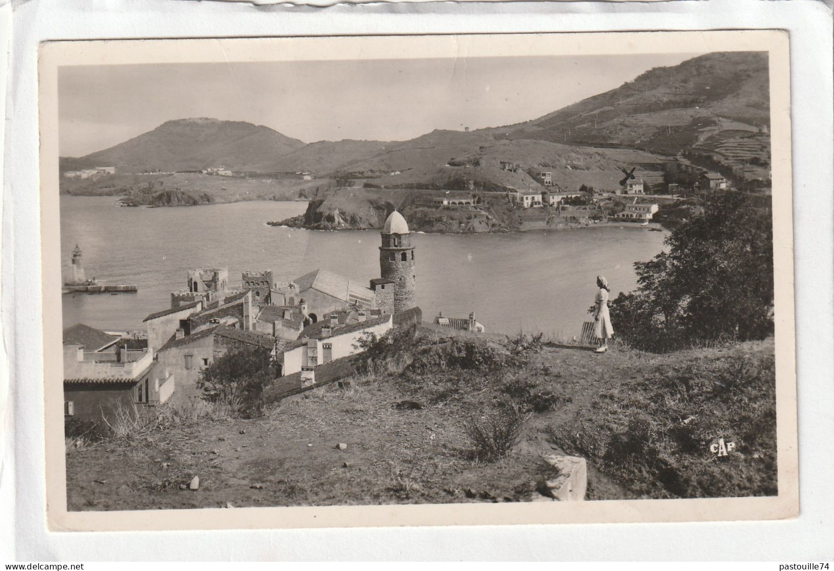 CPSM :  14 X 9  -  COTE  VERMEILLE  -  COLLIOURE  -  Vue Panoramique Sur Le Port - Collioure