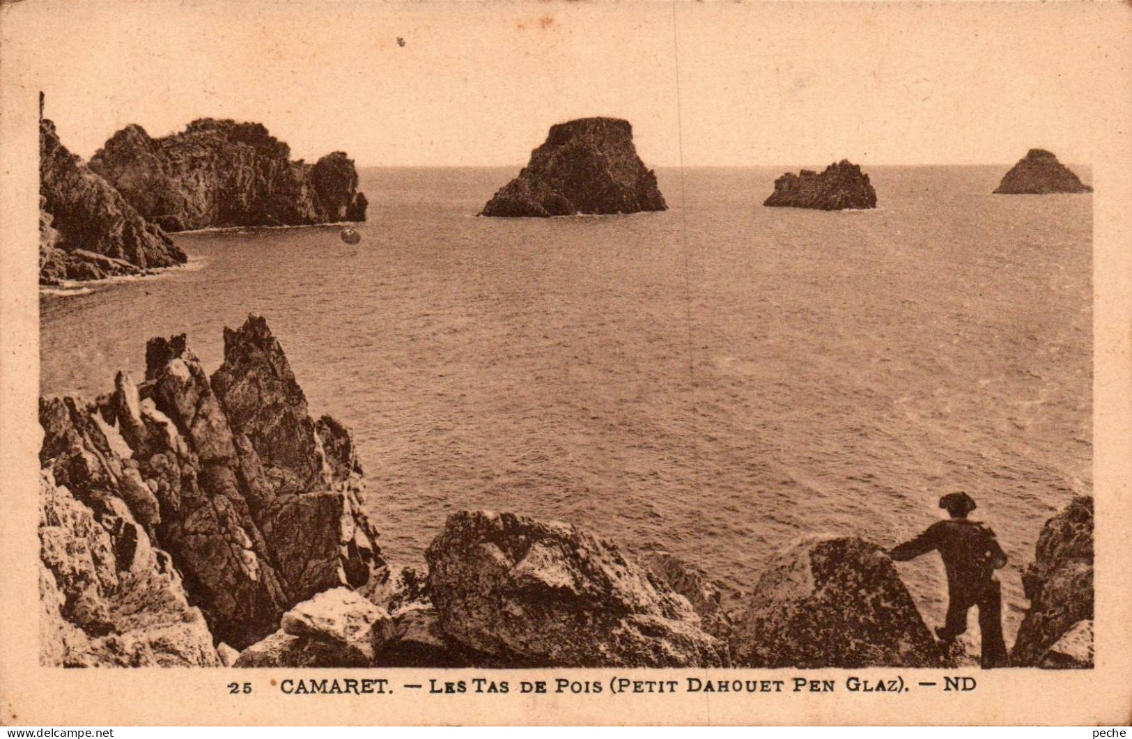 N°3180 W -cpa Camaret -les Tas De Pois- - Camaret-sur-Mer