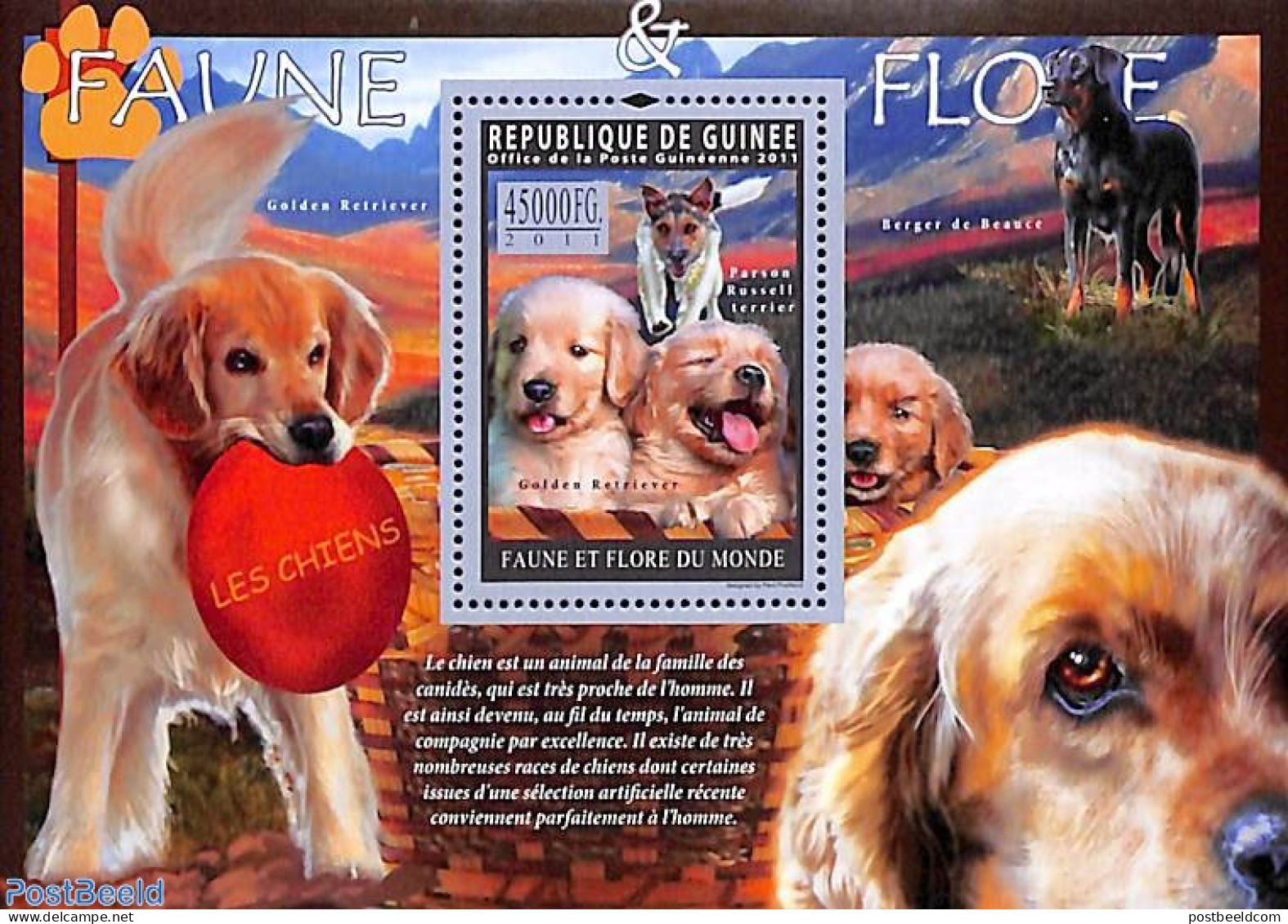 Guinea, Republic 2011 Dogs S/s, Mint NH, Nature - Dogs - Other & Unclassified