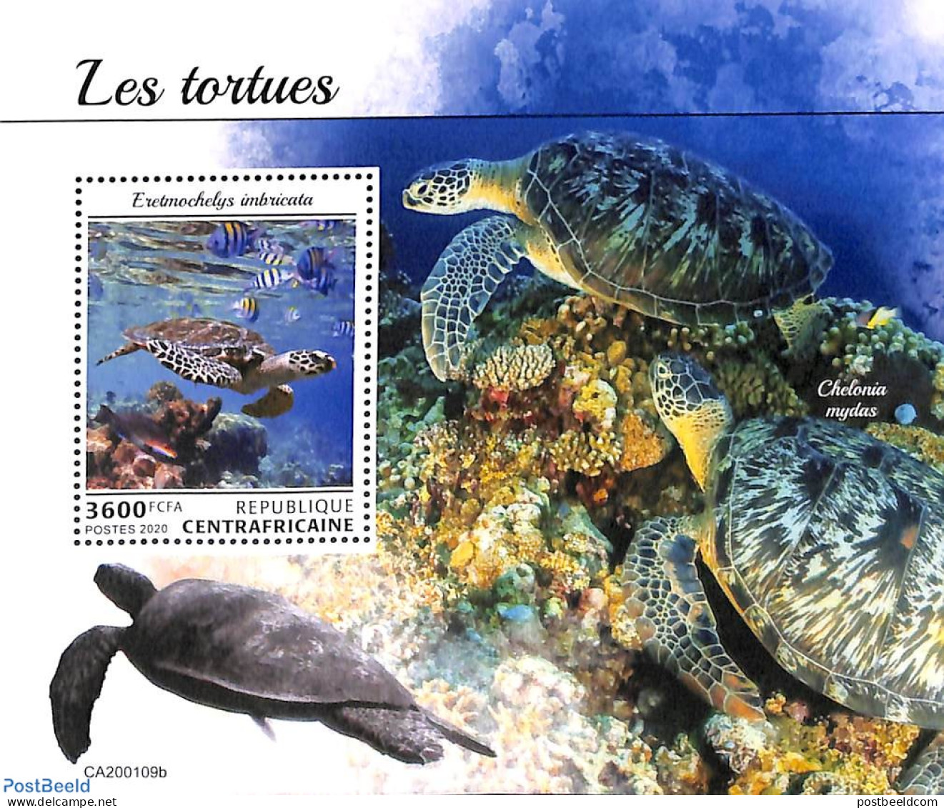 Central Africa 2020 Turtles S/s, Mint NH, Nature - Reptiles - Turtles - Centrafricaine (République)