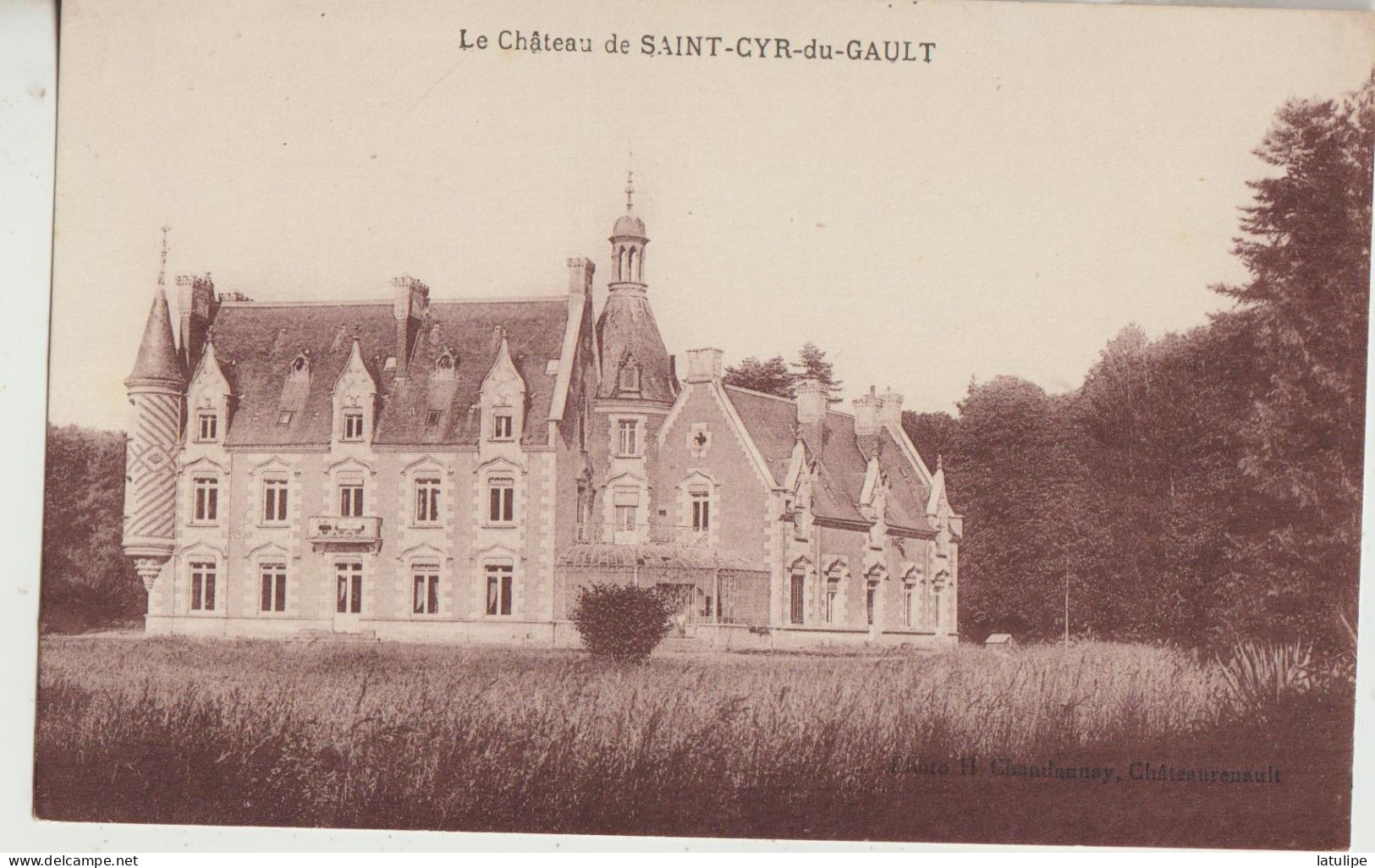 Saint Cyr Du Gault 41  Carte Non Circulé- Le Chateau  Belle Vue - Autres & Non Classés