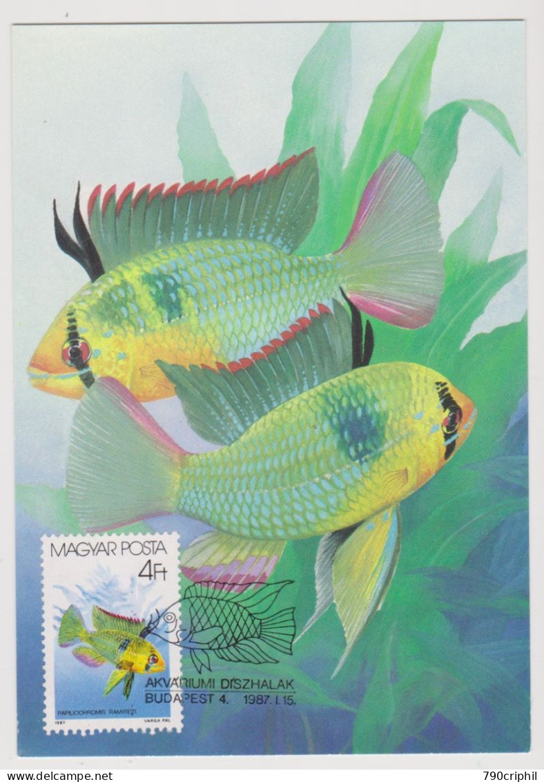 Carte Maximum. Poisson D'ornement, Aquarium DE PAPILLOCHROMIS RAMIRE- HONGRIE OBLT 15.04.1987 - Cartes-maximum (CM)