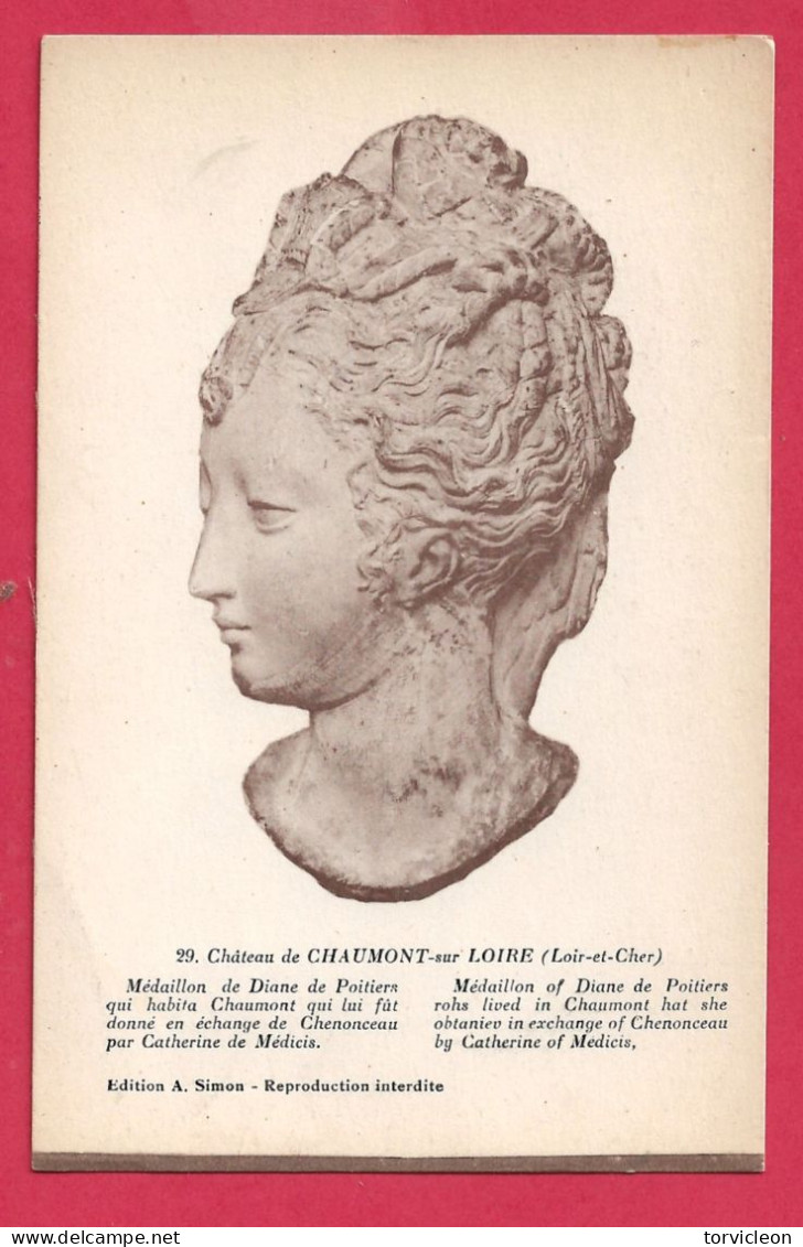 C.P. Chaumont-sur-Loire = Château :  Médaillon De Diane De Poitiers - Blois