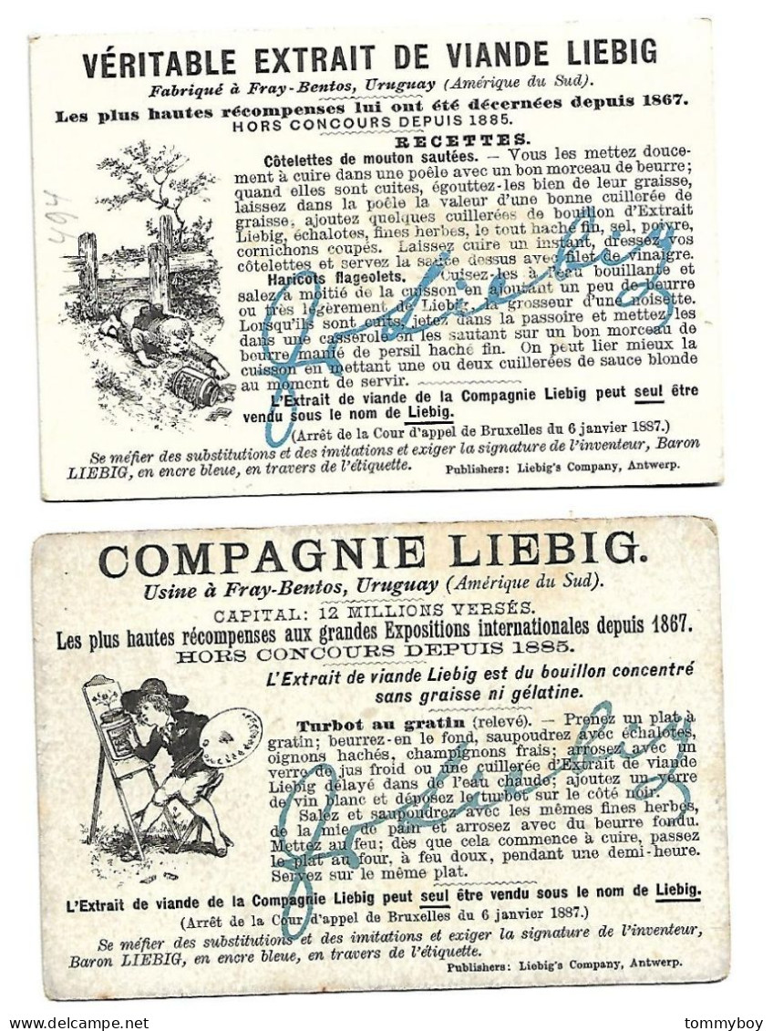 S 495, Liebig 6 Cards, Sports D'hiver (spots + One Card Has A Tear In Left Corner) (ref B10) - Liebig