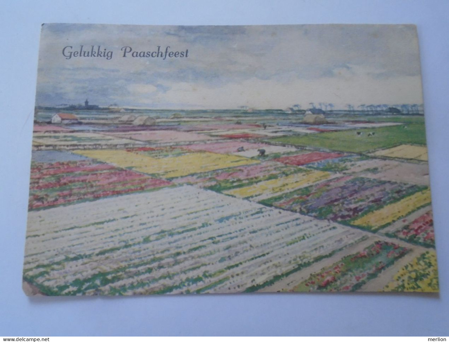 D203301  CPSM Netherlands - Gelukkig Paaschfeest  Pfingsten Pentecost  -Tulip Fields - Pfingsten