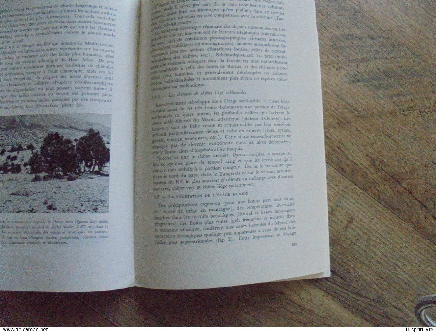 LES NATURALISTES BELGES N° 7 Année 1973 Régionalisme Faune Paysages Atlas maroc Afrique du Nord Botanique