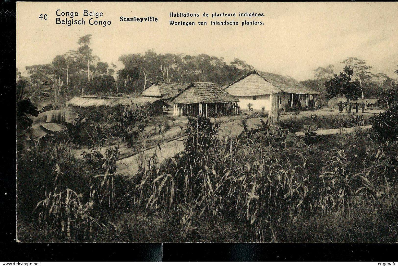 Carte Avec Vue: N° 43 - 40 ( Stanleyville - Habitations De Planteurs Indigènes - Obl. STANLEYVILLE 03/03/1913 - Stamped Stationery