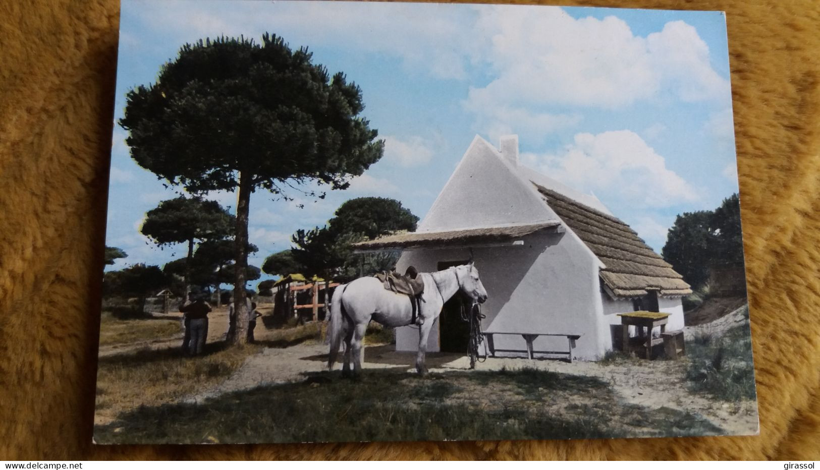 CPSM CABANE DE GARDIANS ET CHEVAL CAMARGUAIS EN CAMARGUE B DU RHONE 13 1965 COLL ROHFRISTCH - Horses