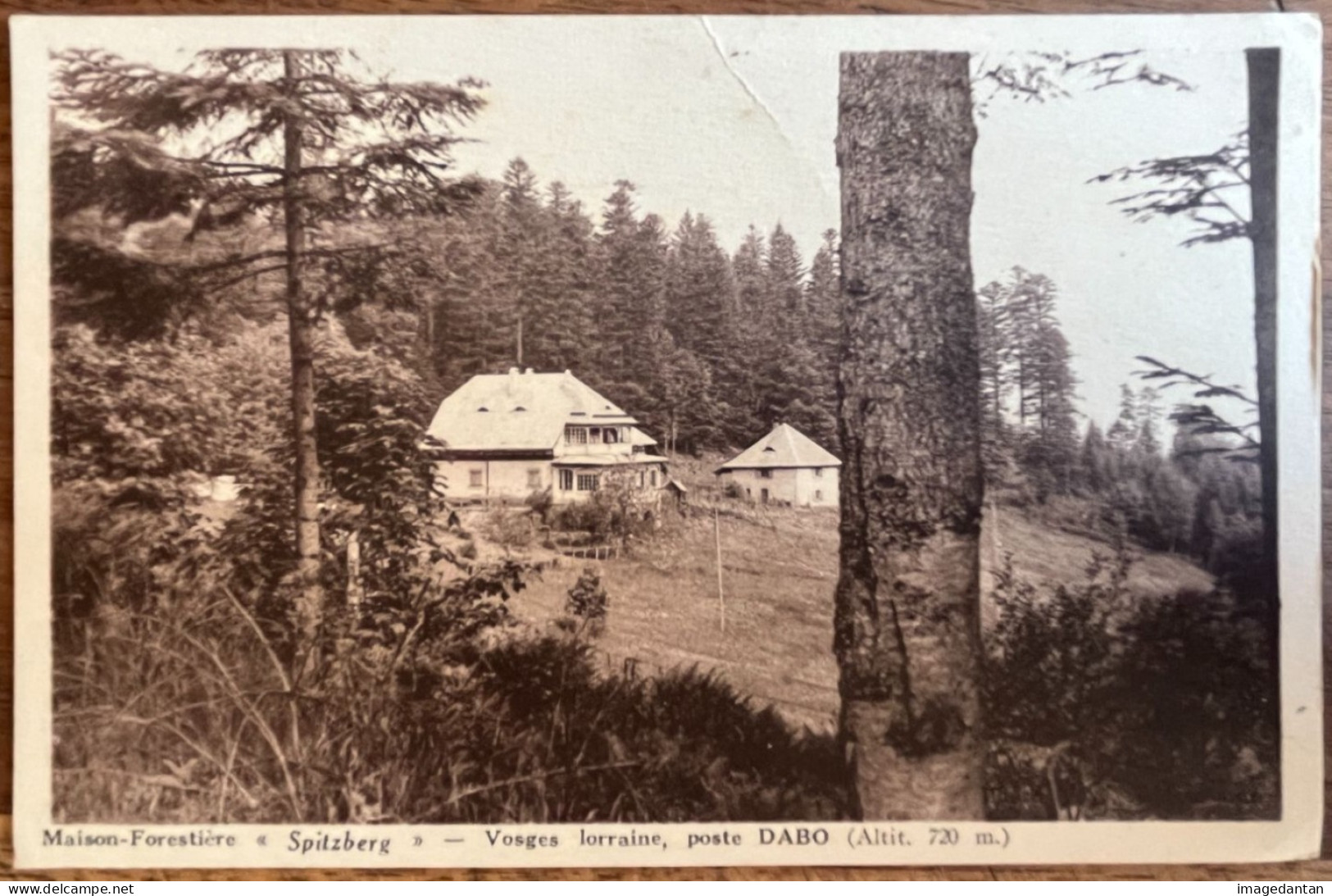 Maison-Forestière SPITZBERG - Vosges Lorraine, Poste DABO (Alt. 720 M.) - Dabo