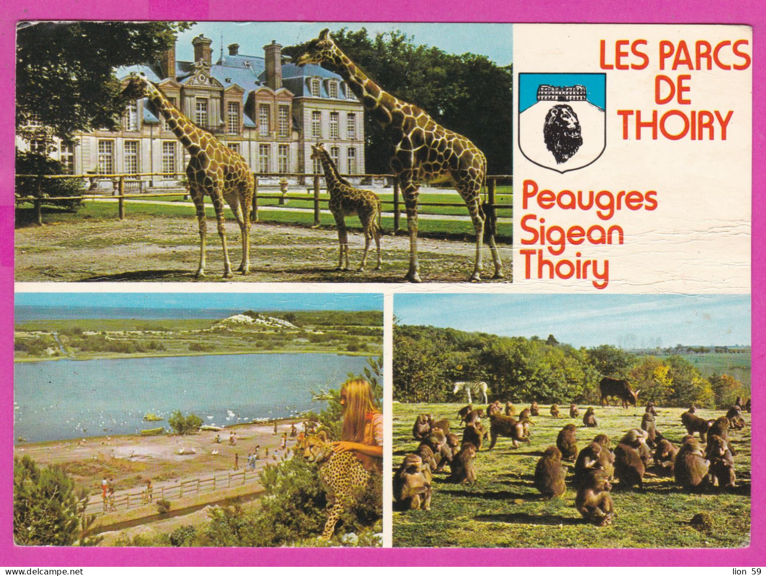 294268 / France - LES PARCS DE THOIRY - Peaugres Sigean Thoiry PC 1981 Postage DUE Azay-le Rideau USED Flamme - Cartas & Documentos