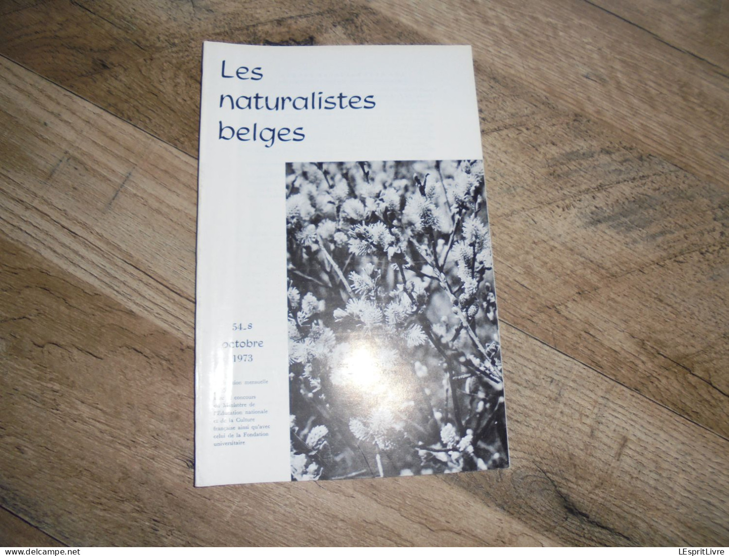 LES NATURALISTES BELGES N° 8 Année 1973 Régionalisme Usage Abusif Des Pesticides Araignées Remarquables Botanique - Belgique