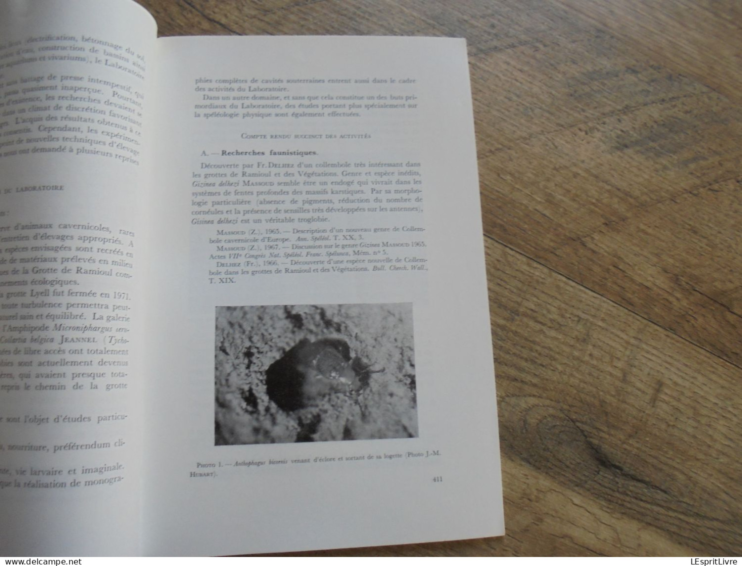 LES NATURALISTES BELGES N° 9 Année 1973 Régionalisme Hépatiques Souterrains Ramioul Ramet Grotte Botanique