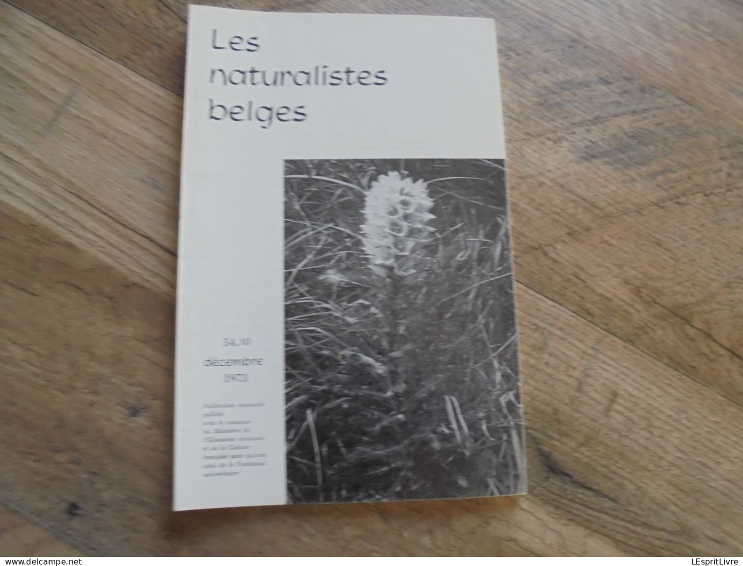 LES NATURALISTES BELGES N° 10 Année 1973 Régionalisme Vallon Jonquière Vaucelles Géologie Spéléologie Grotte Botanique - Belgio