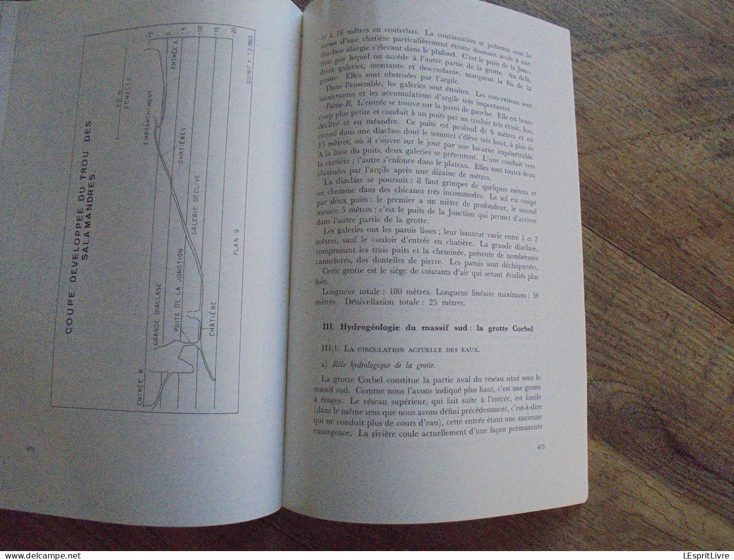 LES NATURALISTES BELGES N° 10 Année 1973 Régionalisme Vallon Jonquière Vaucelles Géologie Spéléologie Grotte Botanique