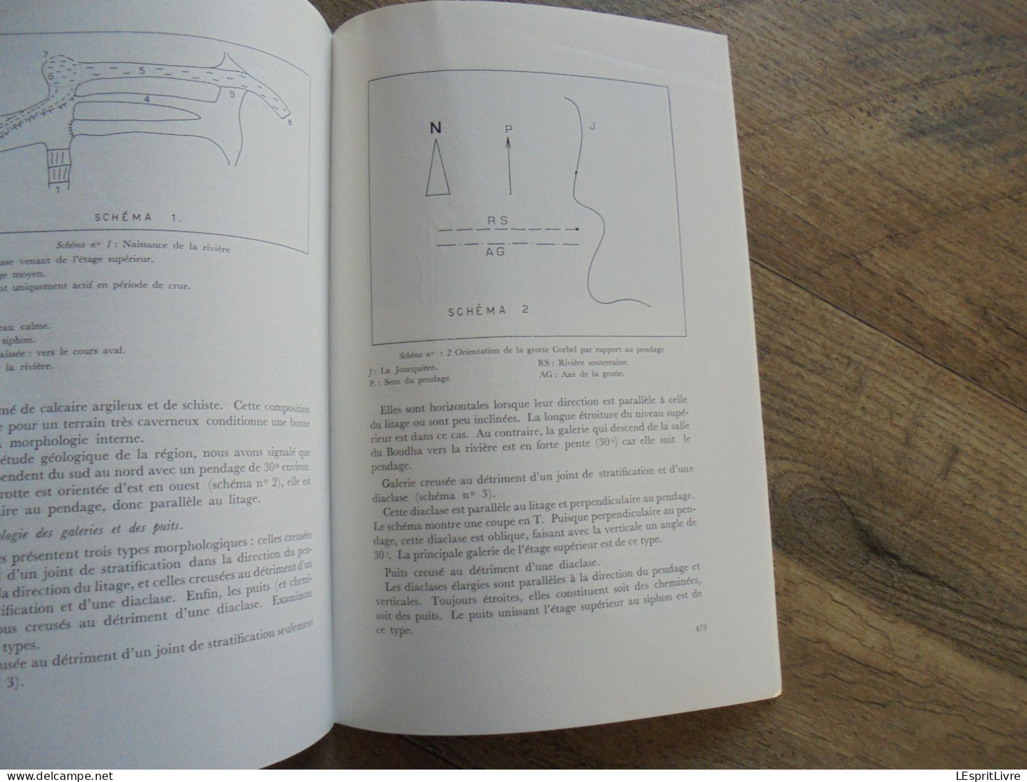 LES NATURALISTES BELGES N° 10 Année 1973 Régionalisme Vallon Jonquière Vaucelles Géologie Spéléologie Grotte Botanique