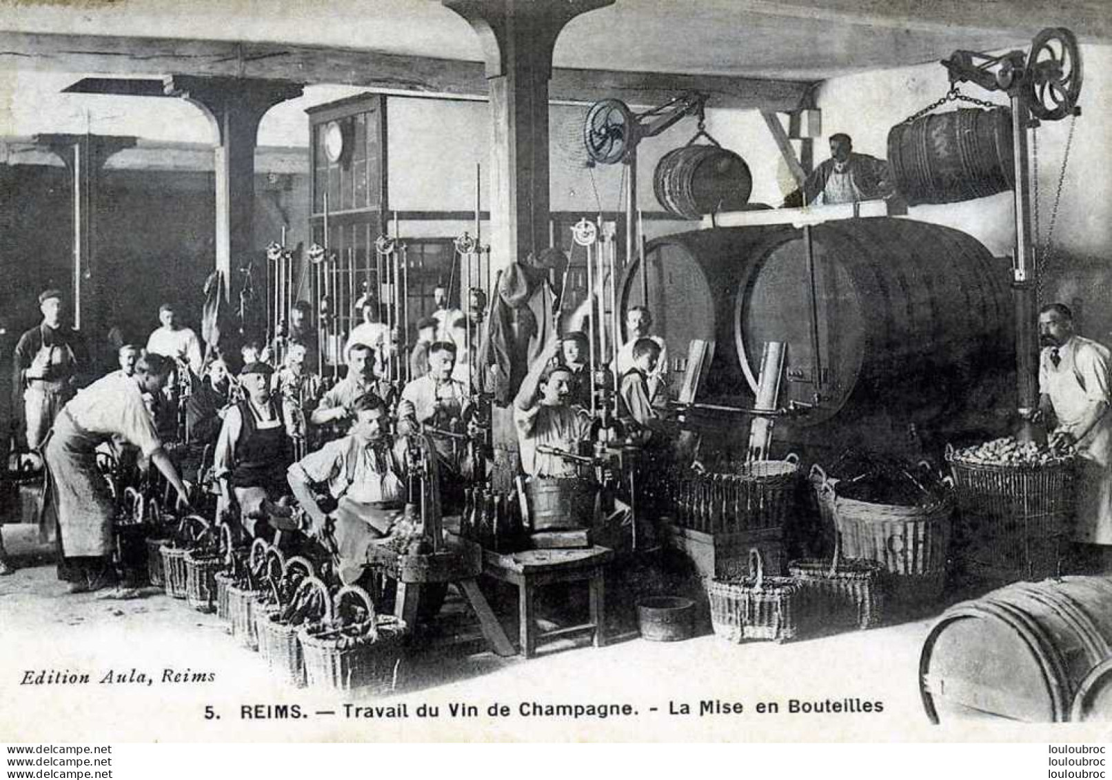 51 TRAVAIL DU VIN DE CHAMPAGNE LA MISE EN BOUTEILLES - Weinberge