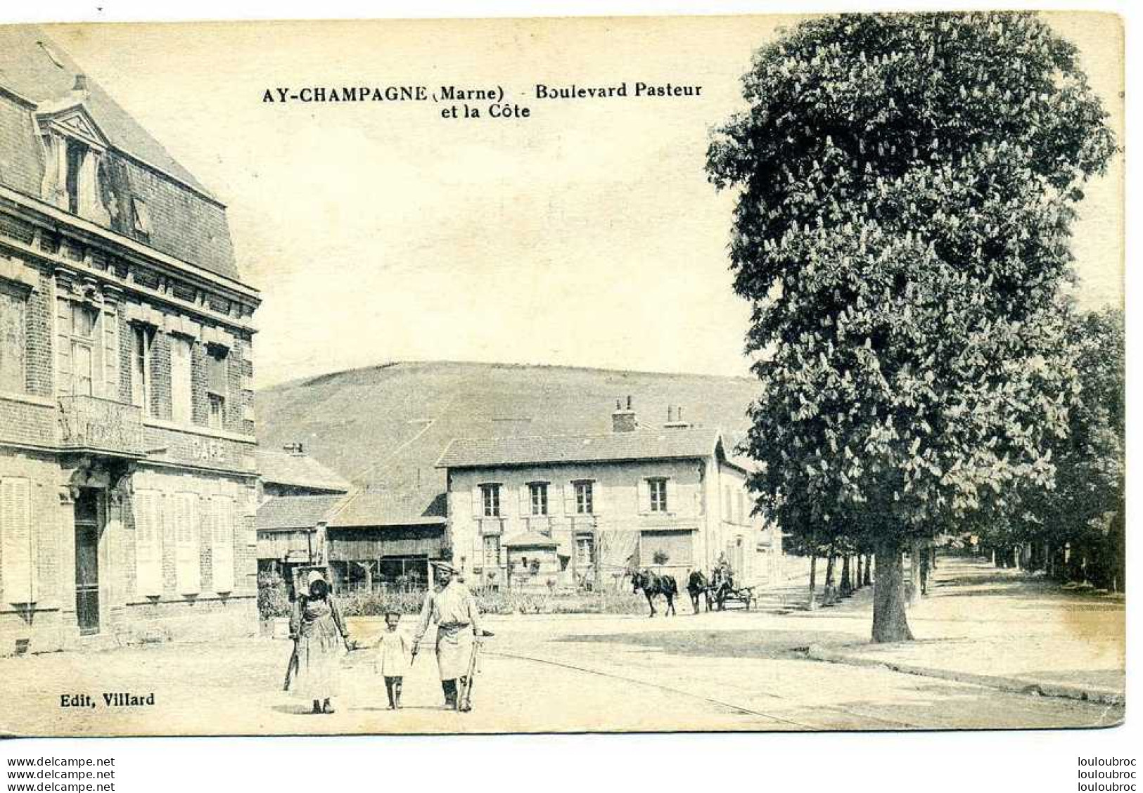 51 AY CHAMPAGNE BOULEVARD PASTEUR ET LA COTE - Ay En Champagne