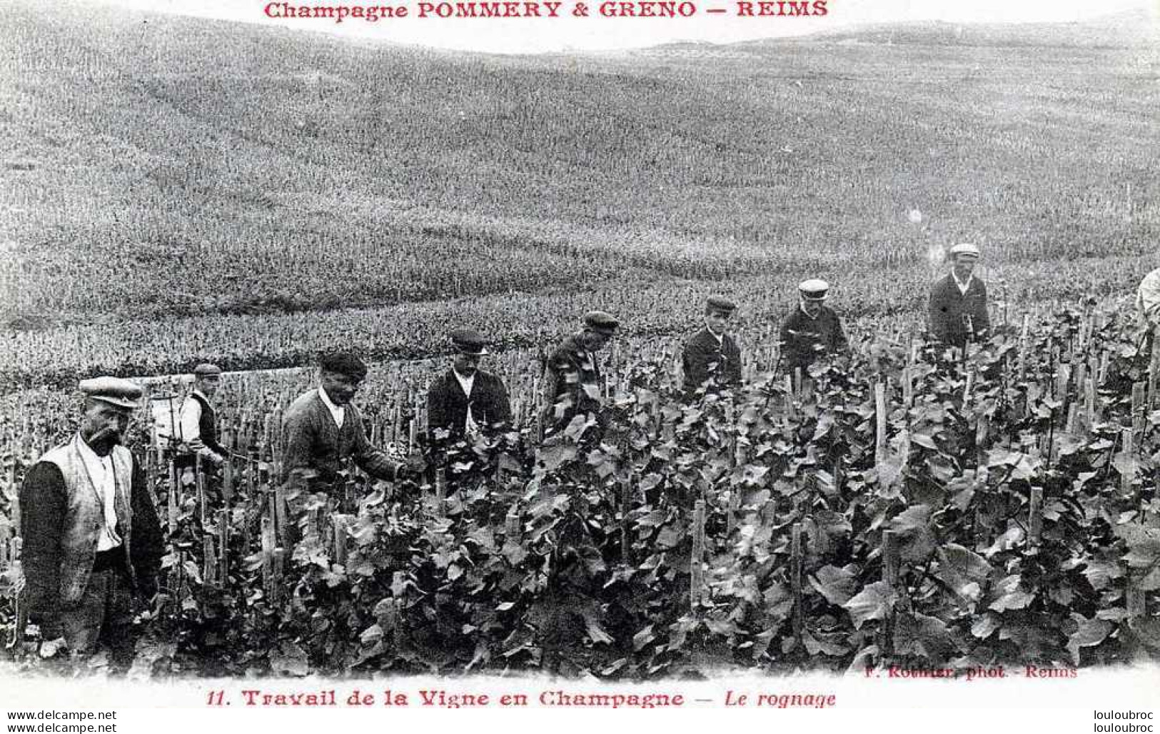 51 CHAMPAGNE POMMERY ET GRENO REIMS  LE ROGNAGE TRAVAIL DE LA VIGNE  EDIT ROTHIER - Vines