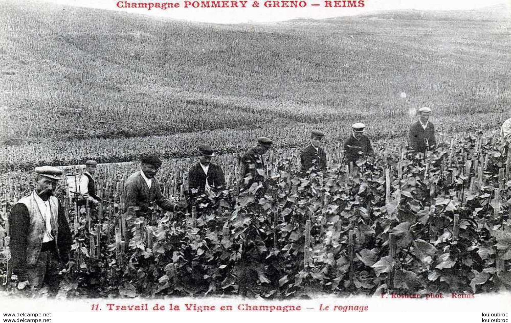 51 CHAMPAGNE POMMERY ET GRENO REIMS  LE ROGNAGE TRAVAIL DE LA VIGNE  EDIT ROTHIER - Viñedos