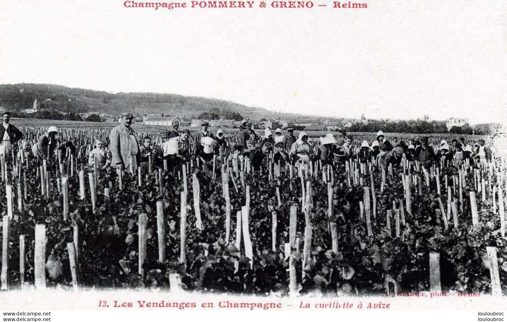 51 CHAMPAGNE POMMERY ET GRENO REIMS  LA CUEILLETTE A AVIZE TRAVAIL DE LA VIGNE  EDIT ROTHIER - Vigne